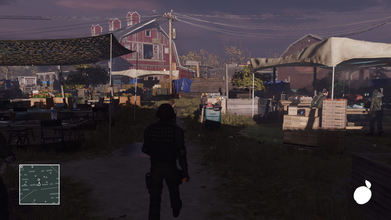 The compound is also an apricot farm. That’s why I have that apricot.